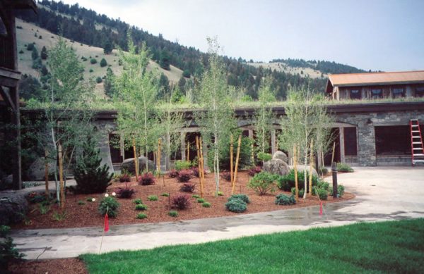 Southwest Montana Landscaping, Pony live roof