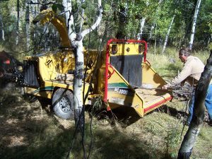 McAllister, MT Landscaping Project