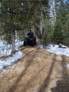 McAllister, MT Landscaping Project