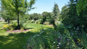Twin Bridges, MT Landscaping Project 2015
