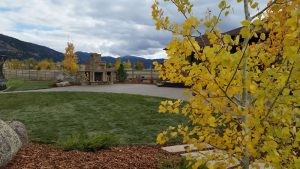 Butte, MT Landscaping Project 2016