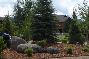 Butte Landscaping Project 2017