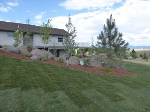 Butte Landscaping Project 2017