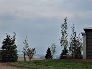 Bozeman Landscaping Project 2017