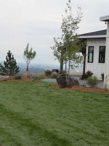 Bozeman Landscaping Project 2017