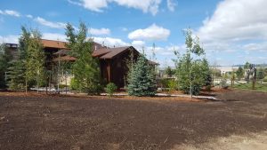 Butte Landscaping Project 2018