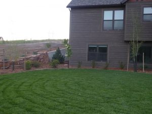 Butte Landscaping Project 2018