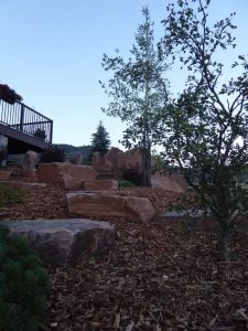 Butte Landscaping Project 2018