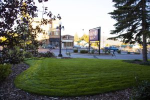 Butte, MT Commercial Landscaping Project 2014