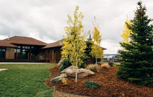 Butte, MT Landscaping Project 2016